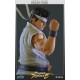 Virtua Fighter 5 Akira Yuki 12 inch Statue 28cm